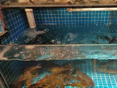 -李久其家民间餐厅(观沙岭公园店)