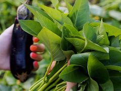 -凤来栖·净庭院·火锅(欧尚店)