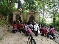 -上海佘山国家森林公园西佘山园