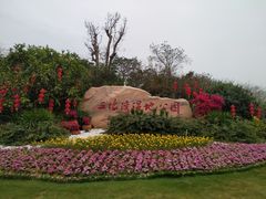 -五缘湾湿地公园