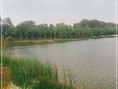 -东郊湿地公园