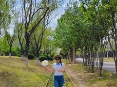 -永定河休闲森林公园