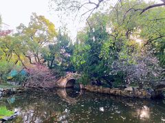 -复旦大学附属华山医院(总院)