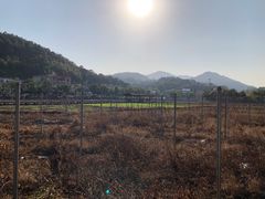-红山村