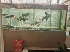 -衡山汇·高级粤菜(霄云路店)