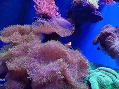 -上海海昌海洋公园