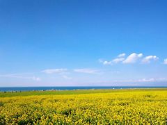 -青海湖国家重点风景名胜区