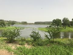 -东郊湿地公园