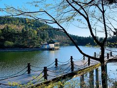 -庐山风景区花径公园