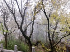 -岳麓山风景名胜区