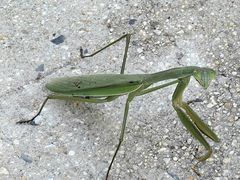 -龙口南山旅游景区