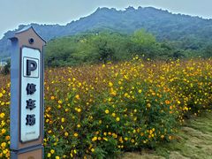 -湘湖金融镇