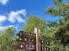 -青龙山风景区
