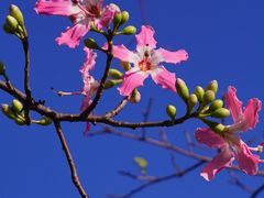 -二沙岛艺术公园