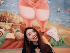 -WHEN PIGS FLY当猪飞