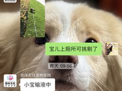 -良伴无忧宠物医院(泰欣嘉园店)
