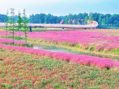 -江苏三台山国家森林公园