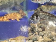 -红红海鲜大排档