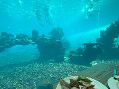 -海棠湾洲际-涛·海底餐厅·美人鱼·自助餐·海底隧道