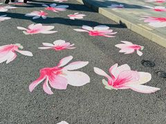 -比斯特上海购物村精品奥特莱斯