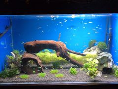-梦幻海洋王国(吾悦广场张家港店)