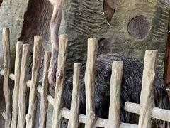 -长鹿旅游休博园