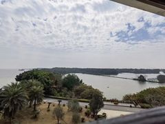 -大湾区中央湿地公园