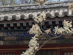 -潭柘寺景区