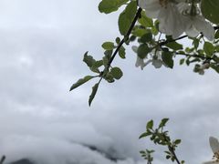 -叠溪松坪沟景区