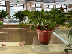 -嘉和一品粥(政府街店)