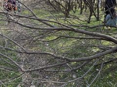 -明秦王墓遗址