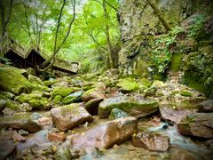 -本溪汤沟绿石谷森林公园