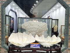 -游龙石文化科普馆