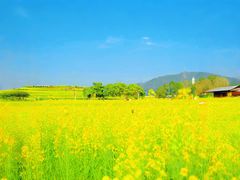 -光明小镇欢乐田园