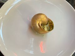 -金蜗牛