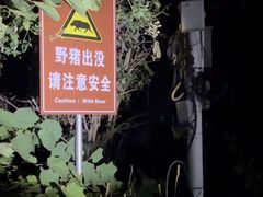 -紫金山山顶公园