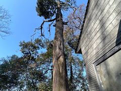 -终南山南五台景区