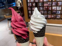 冰山杨梅脆筒-喜茶(珠海华发商都店)