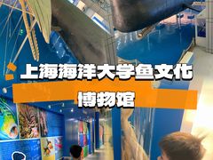 -上海海洋大学鱼文化博物馆(军工路校区)