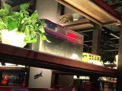 -探鱼·鲜青椒爽麻烤鱼(广州欣荣广场店)