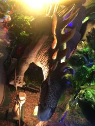 -恐龙探索乐园(磁器口店)