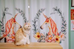 点击看大图 -齐伽生活馆·瑜伽·普拉提·阿育吠陀