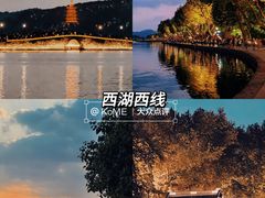 -杭州奥体中心-体育场