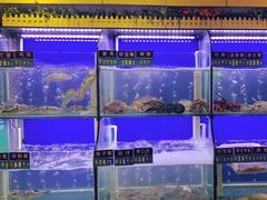 水产区-启东小海鲜(庄先湾路1号店)