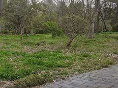 -东园小馆·早茶·淮扬小炒(宋夹城店)