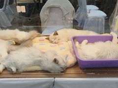 -上海长风大悦城
