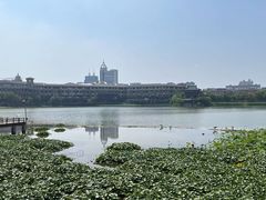-开封开元名都大酒店·可泰自助餐厅