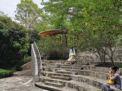-燕晗山郊野公园