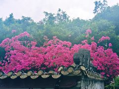 -南沙天后宫景区