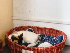 -微饮cafe